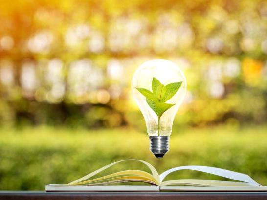 light bulb inside a book with a leaf inside of it